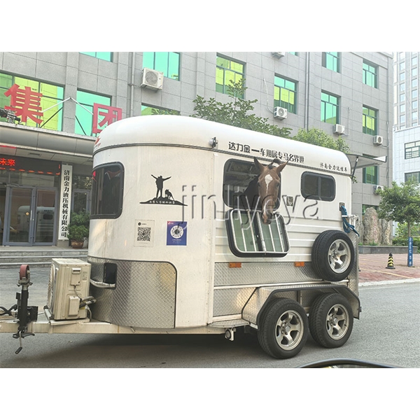 合肥运马车